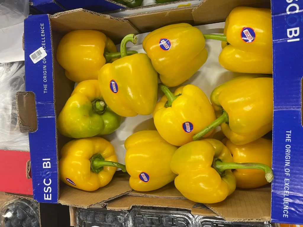 WhatsApp Image 2026-02-01 at 17.02.59.webp