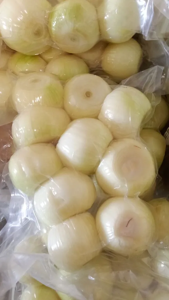 WhatsApp Image 2026-02-03 at 11.52.47.webp