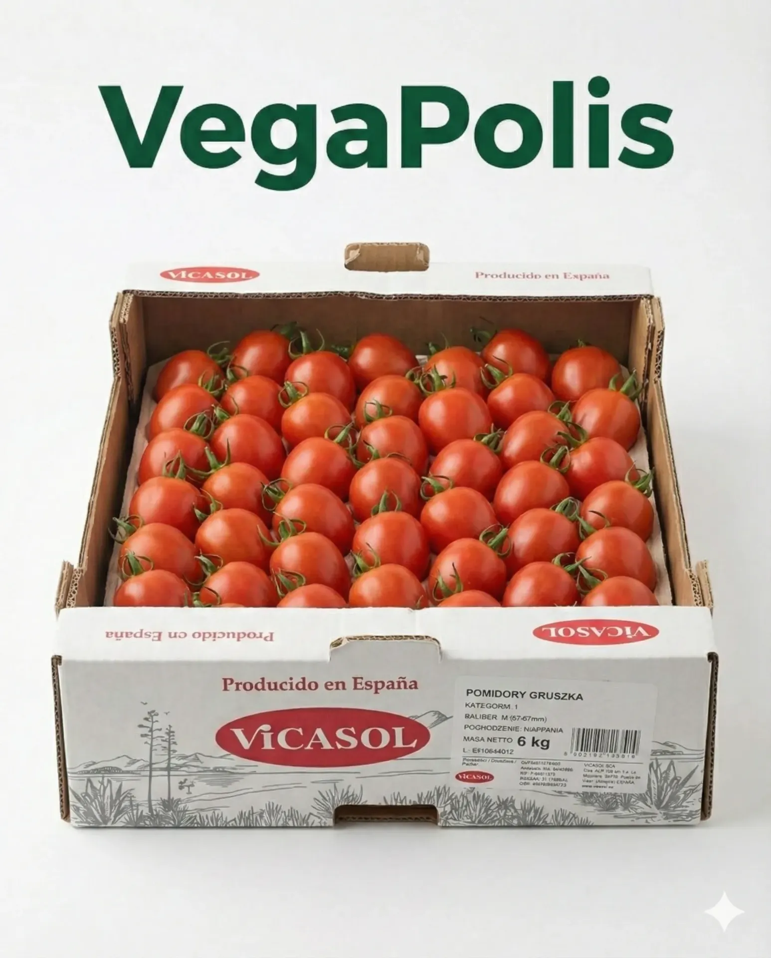 Pomidor Gruszka Vicasol | VegaPolis
