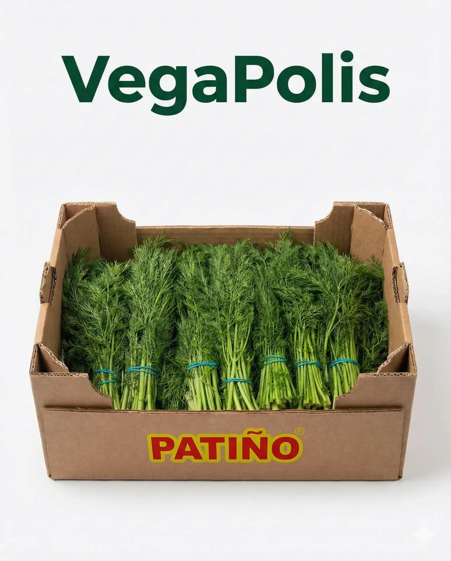 Świeży Koperek Patino – Aromatyczny Pęczek | VegaPolis