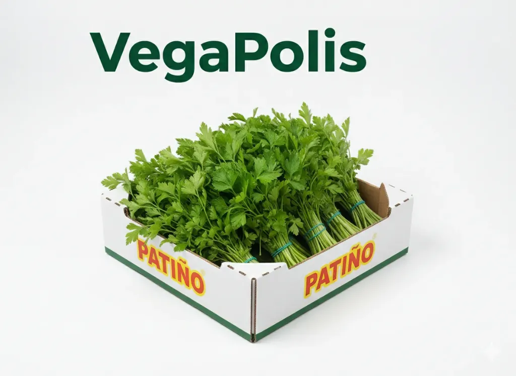 Świeża Natka Pietruszki Patino – Gładka i Aromatyczna | VegaPolis